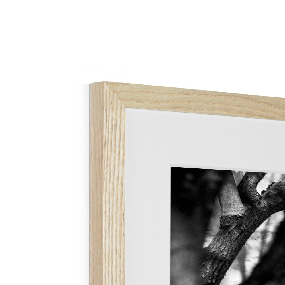 B&W 02 Framed & Mounted Print