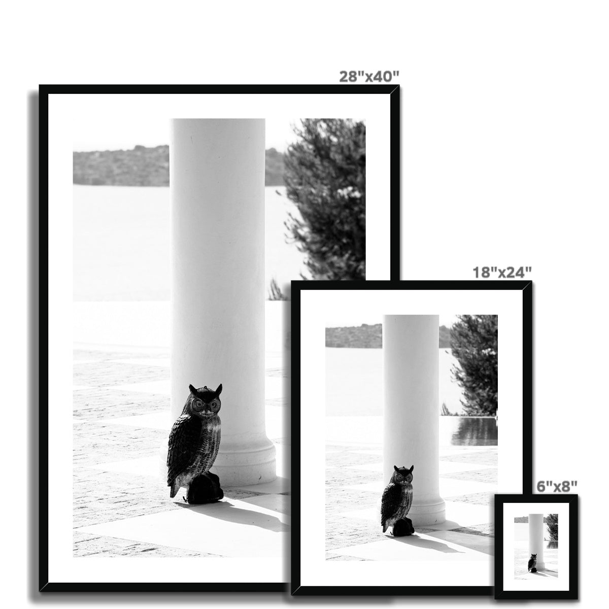 ARCH 06 Framed & Mounted Print