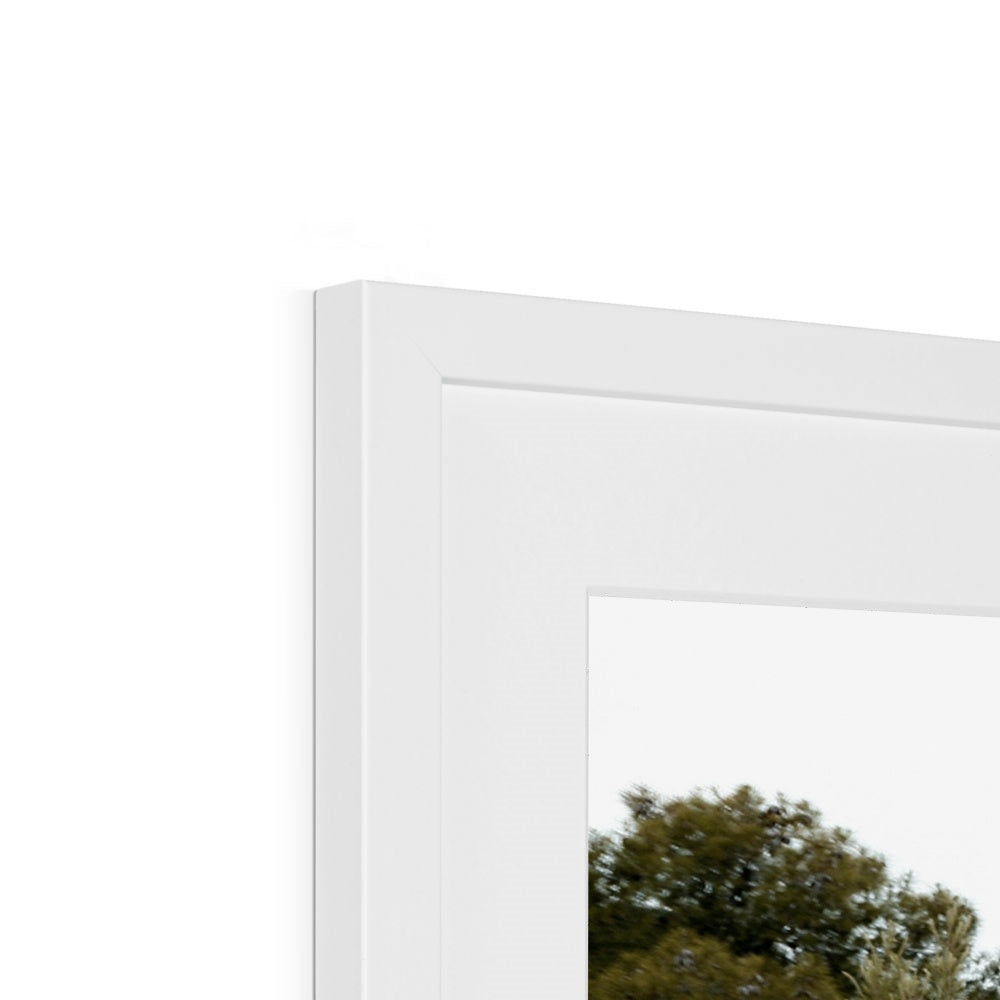ARCH 04 Framed & Mounted Print