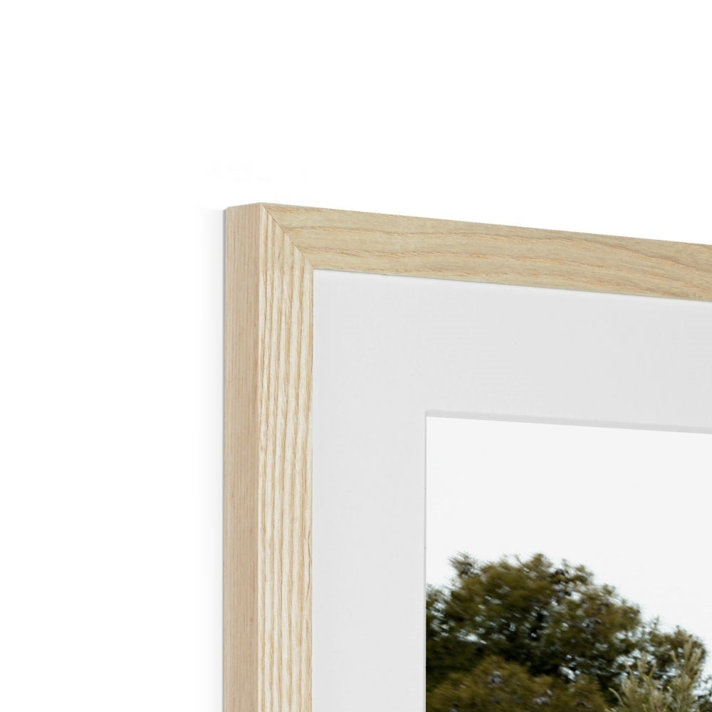ARCH 04 Framed & Mounted Print