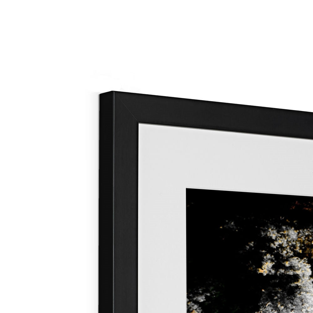 NATURE 07 Framed & Mounted Print