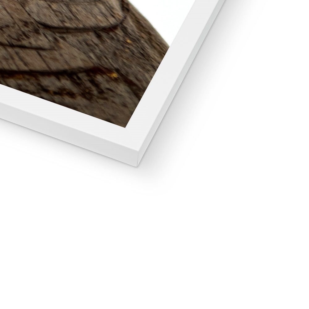 LIFESTYLE 15 Framed Print