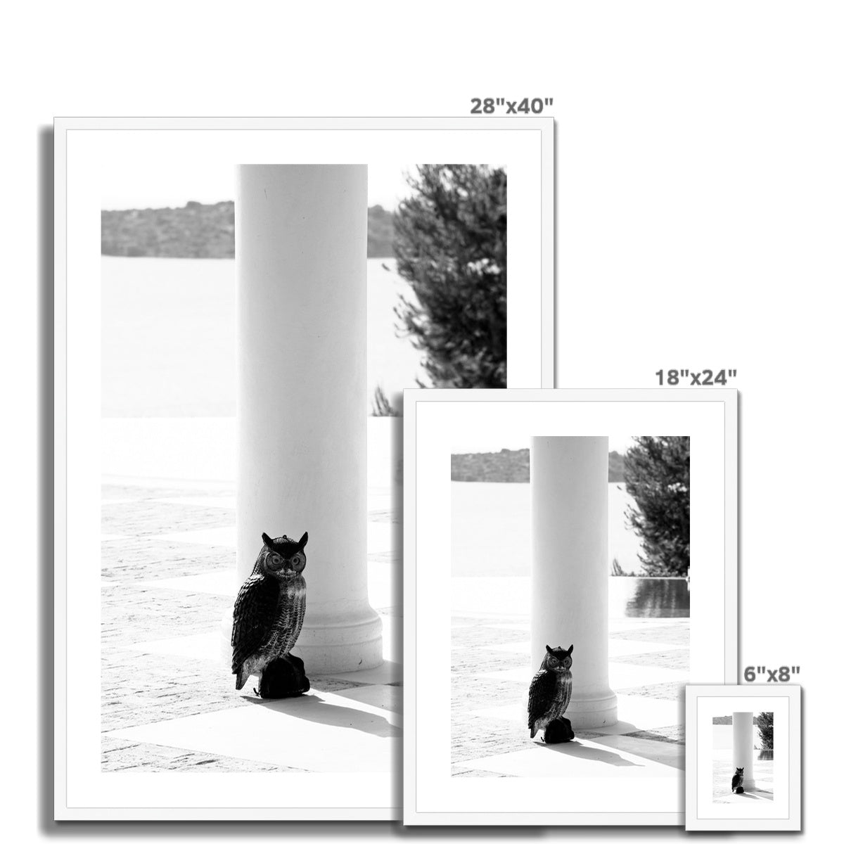 ARCH 06 Framed & Mounted Print