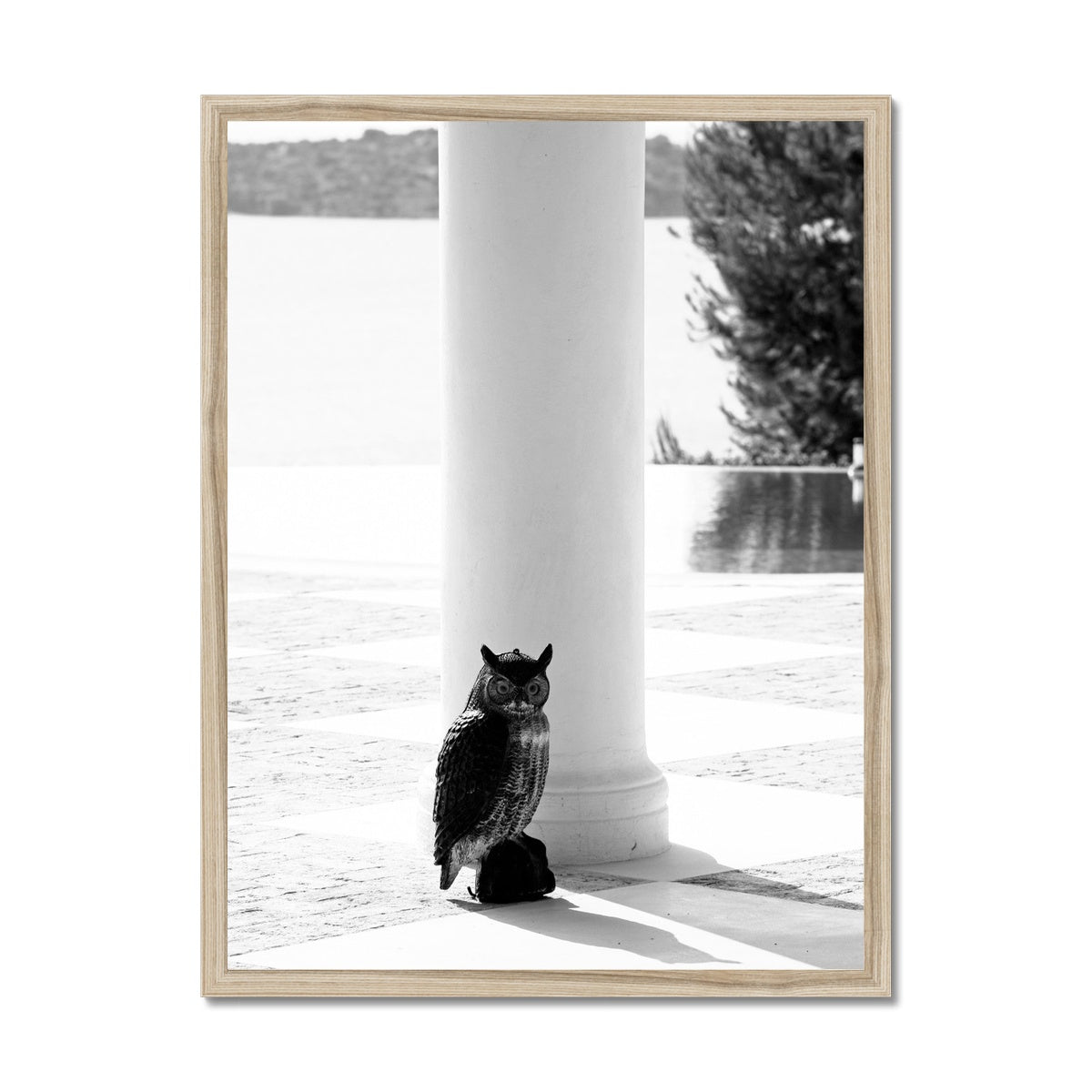 ARCH 06 Framed Print