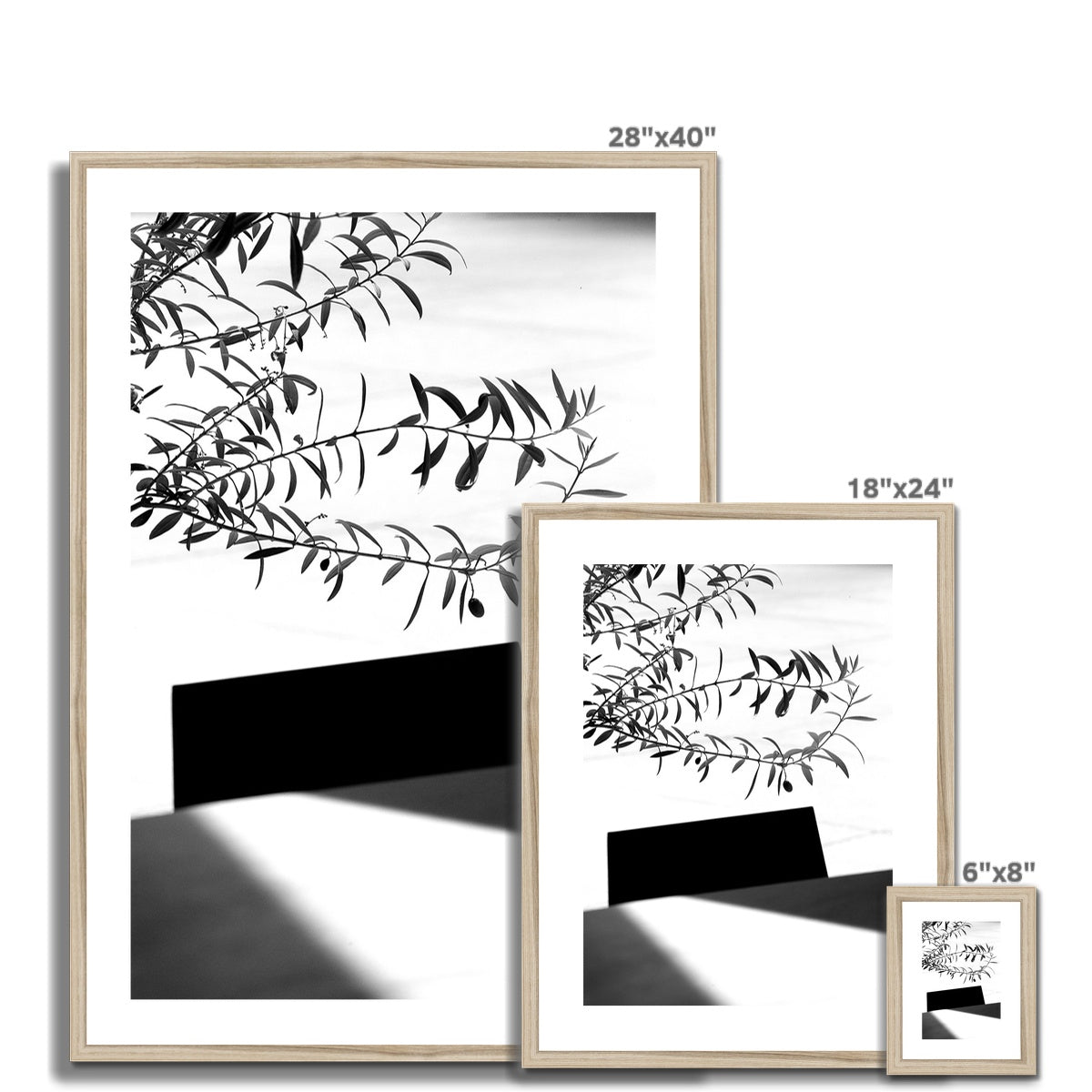 B&W 04 Framed & Mounted Print