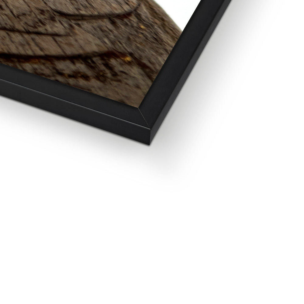 LIFESTYLE 15 Framed Print