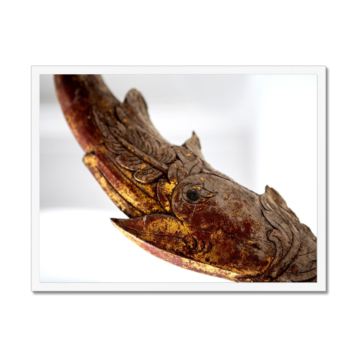 LIFESTYLE 15 Framed Print