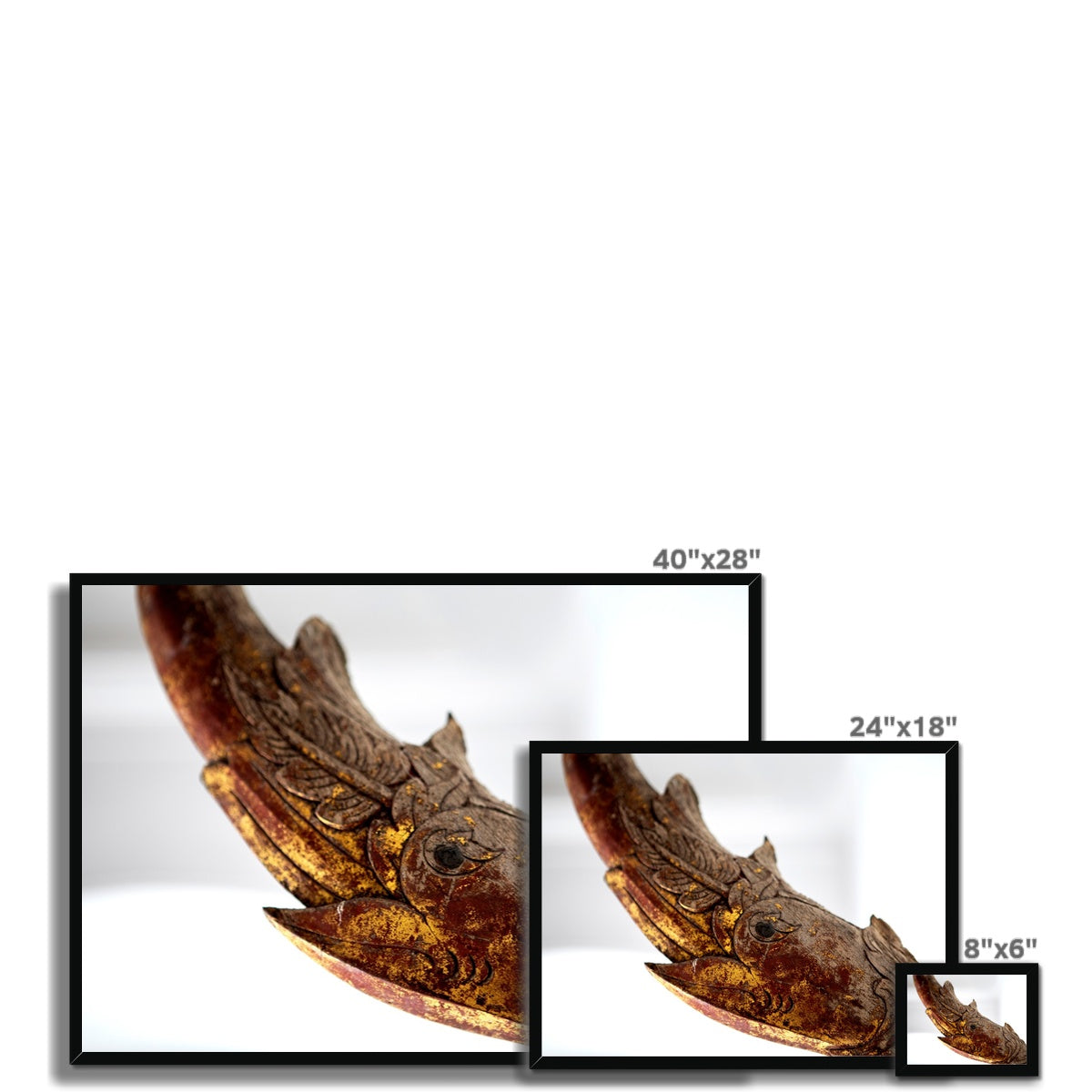 LIFESTYLE 15 Framed Print