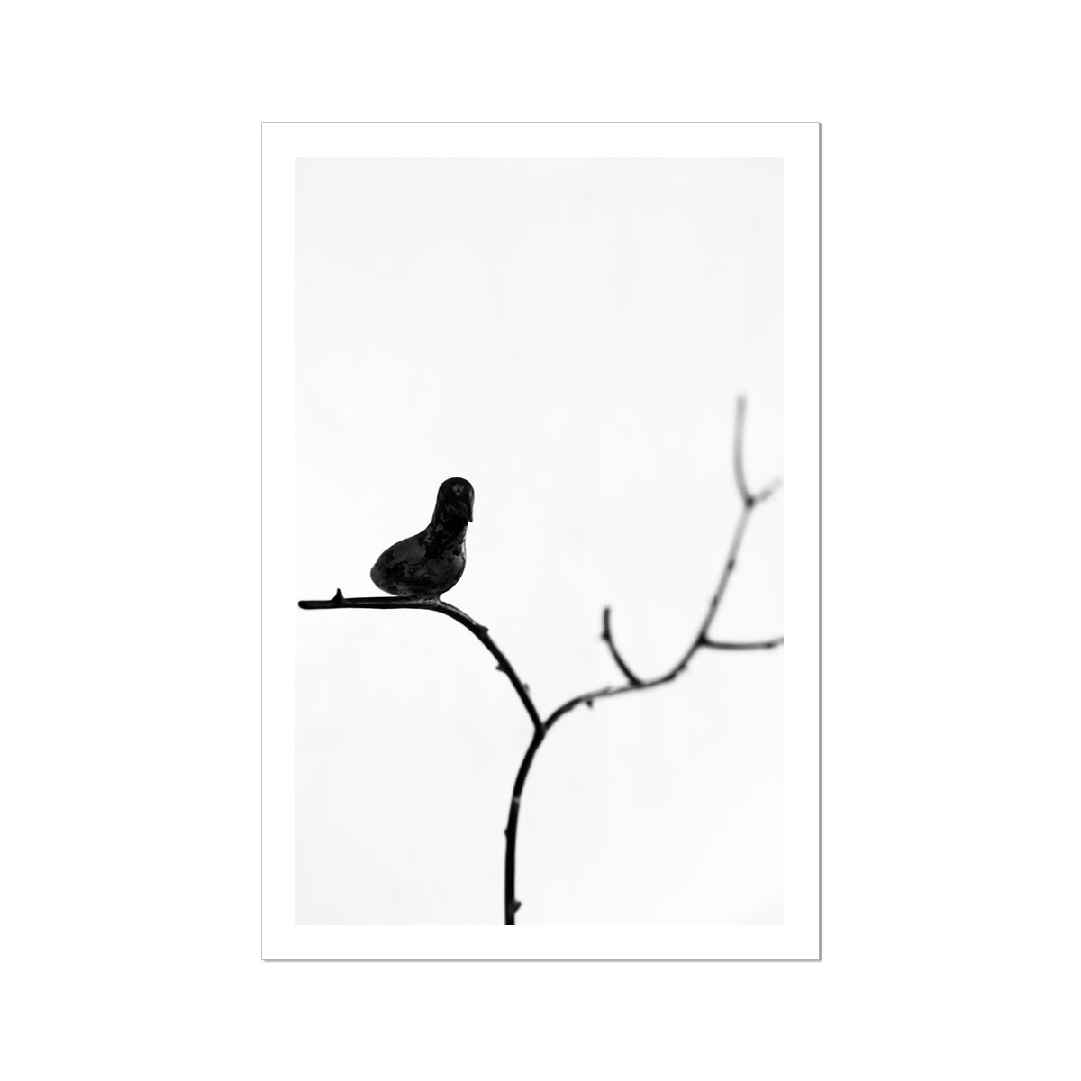 B&W 17 Fine Art Print