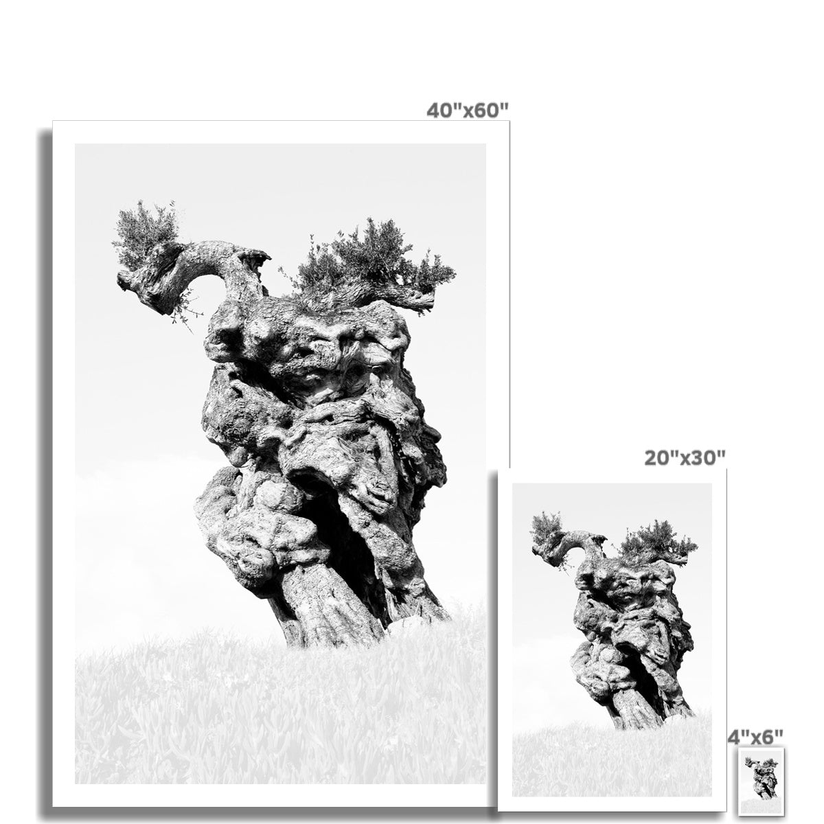 DREAM 17 Fine Art Print
