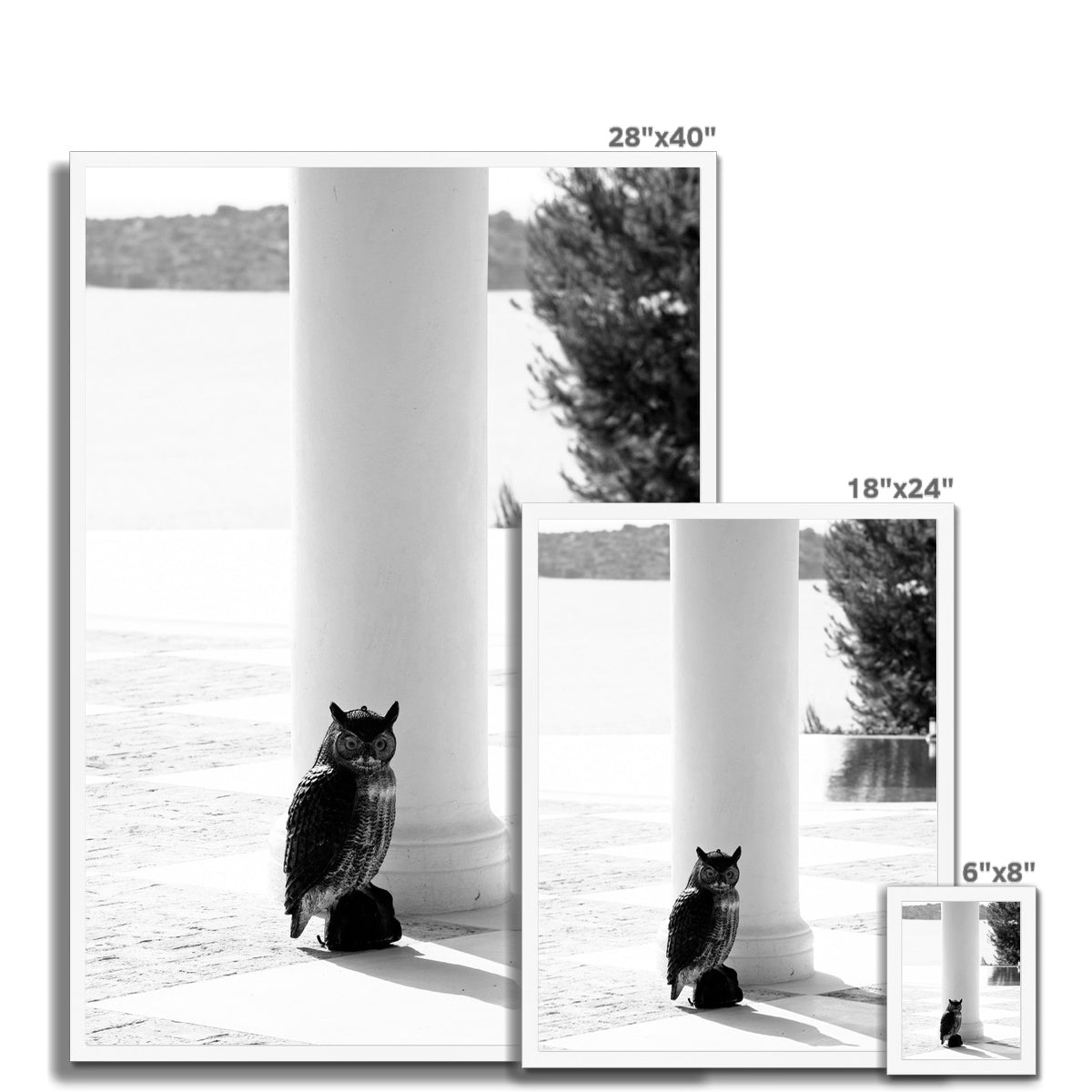 ARCH 06 Framed Print