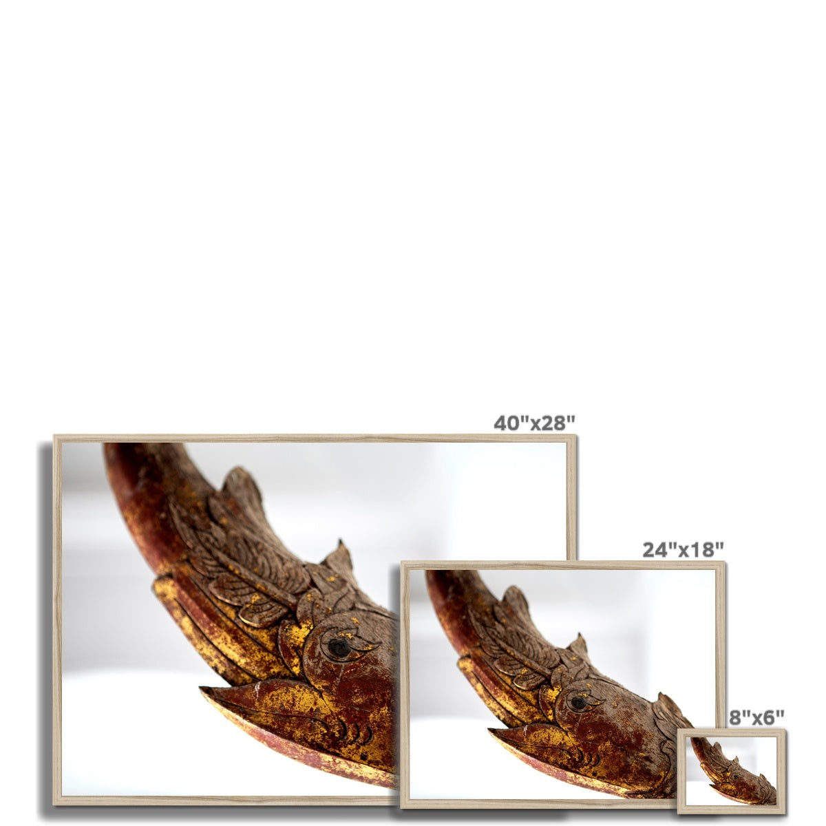 LIFESTYLE 15 Framed Print