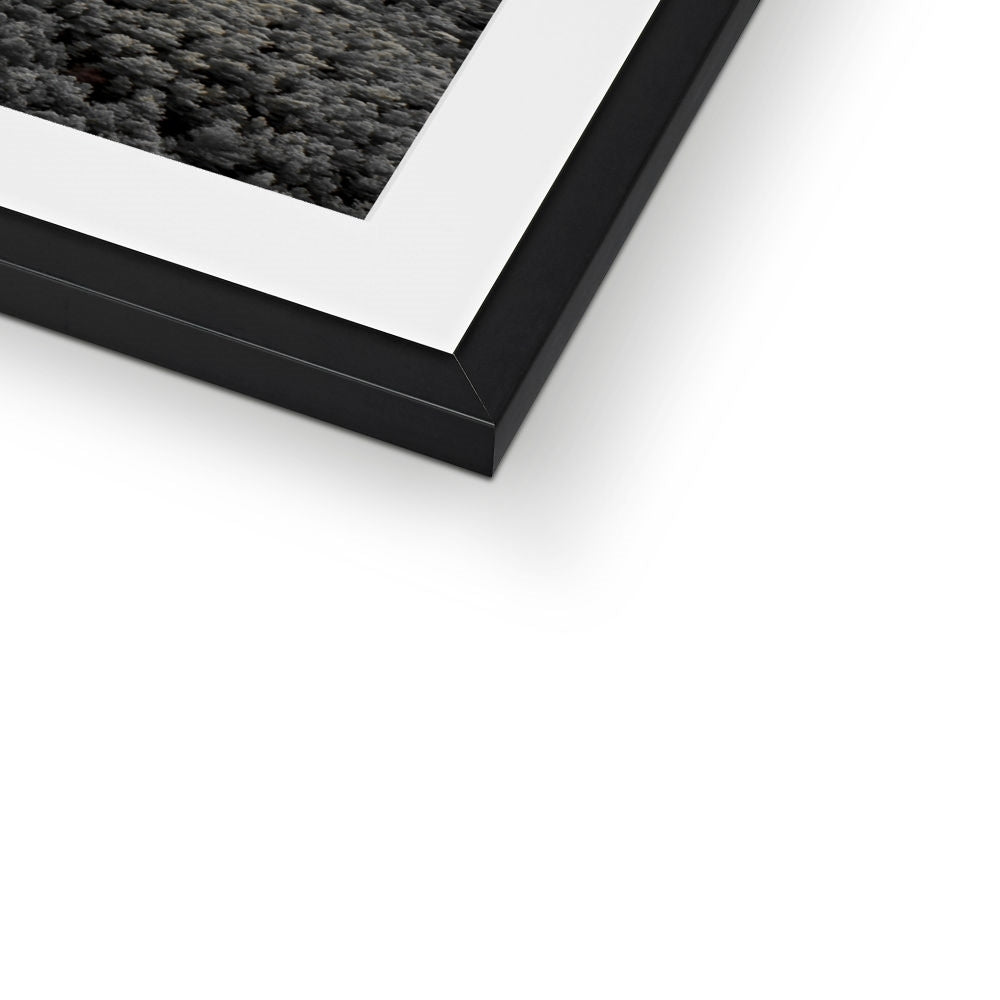 NATURE 21 Framed & Mounted Print