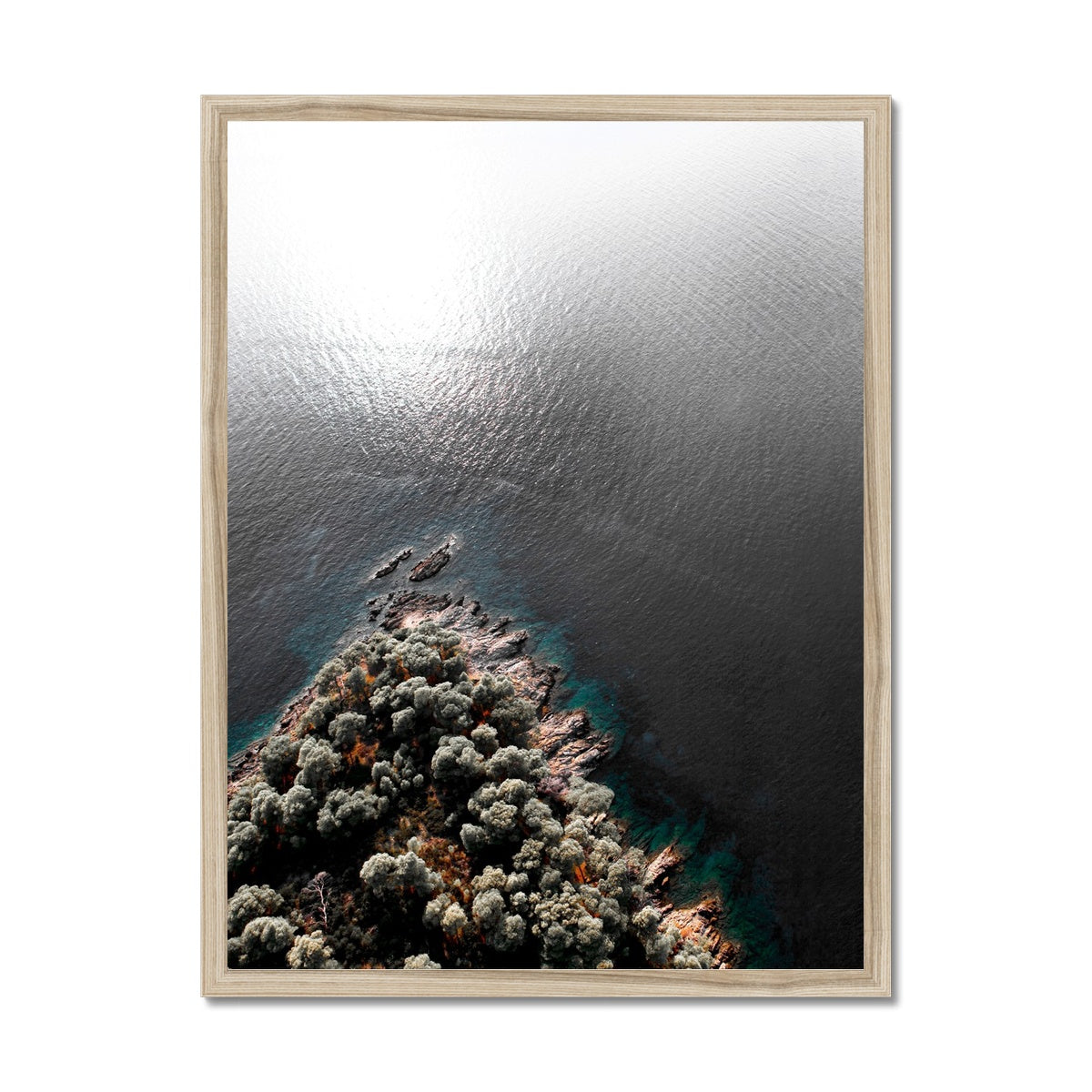 NATURE 08 Framed Print