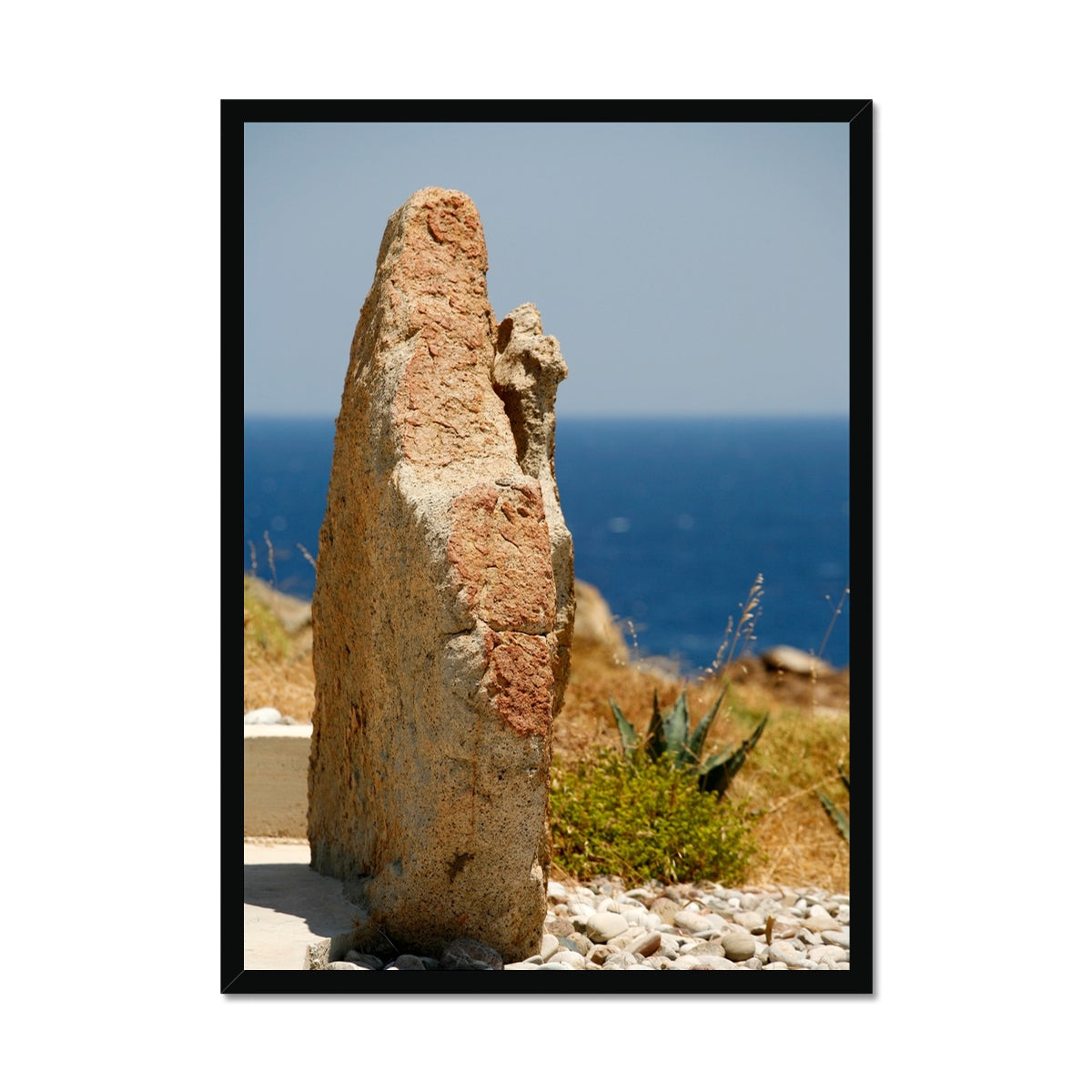 NATURE 20 Framed Print