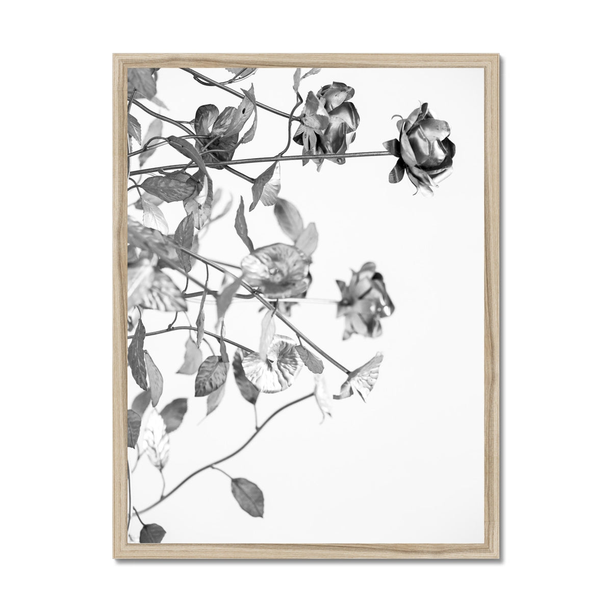 B&W 13 Framed Print