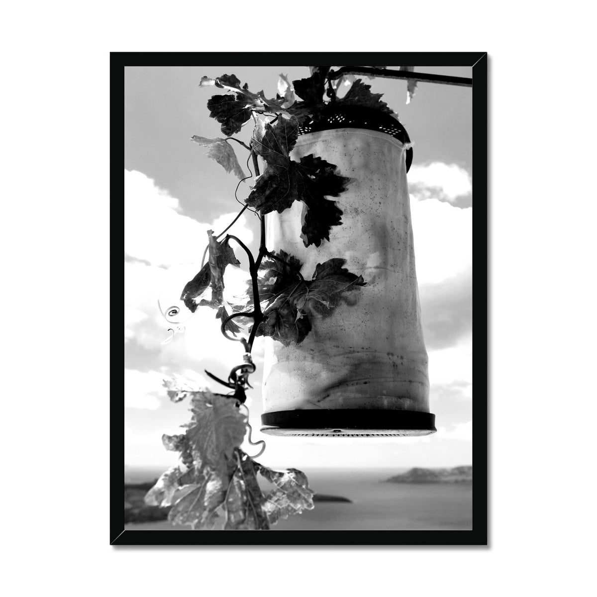 LIFESTYLE 20 Framed Print