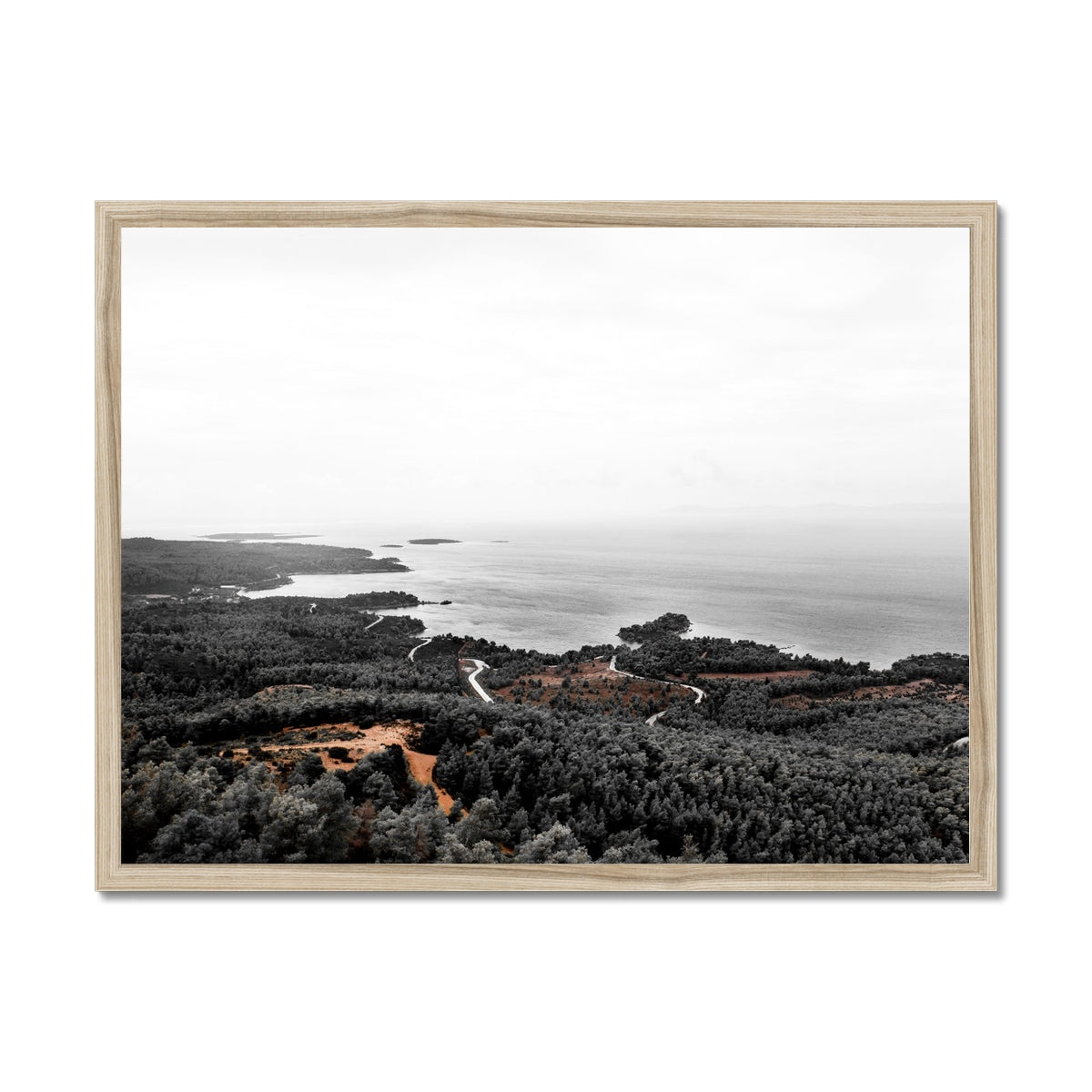 NATURE 21 Framed Print