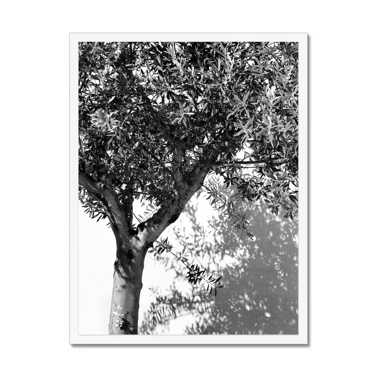 B&W 10 Framed Print