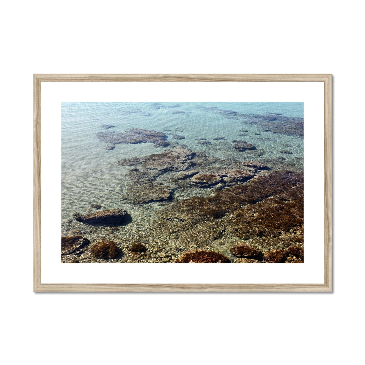 NATURE 06 Framed & Mounted Print