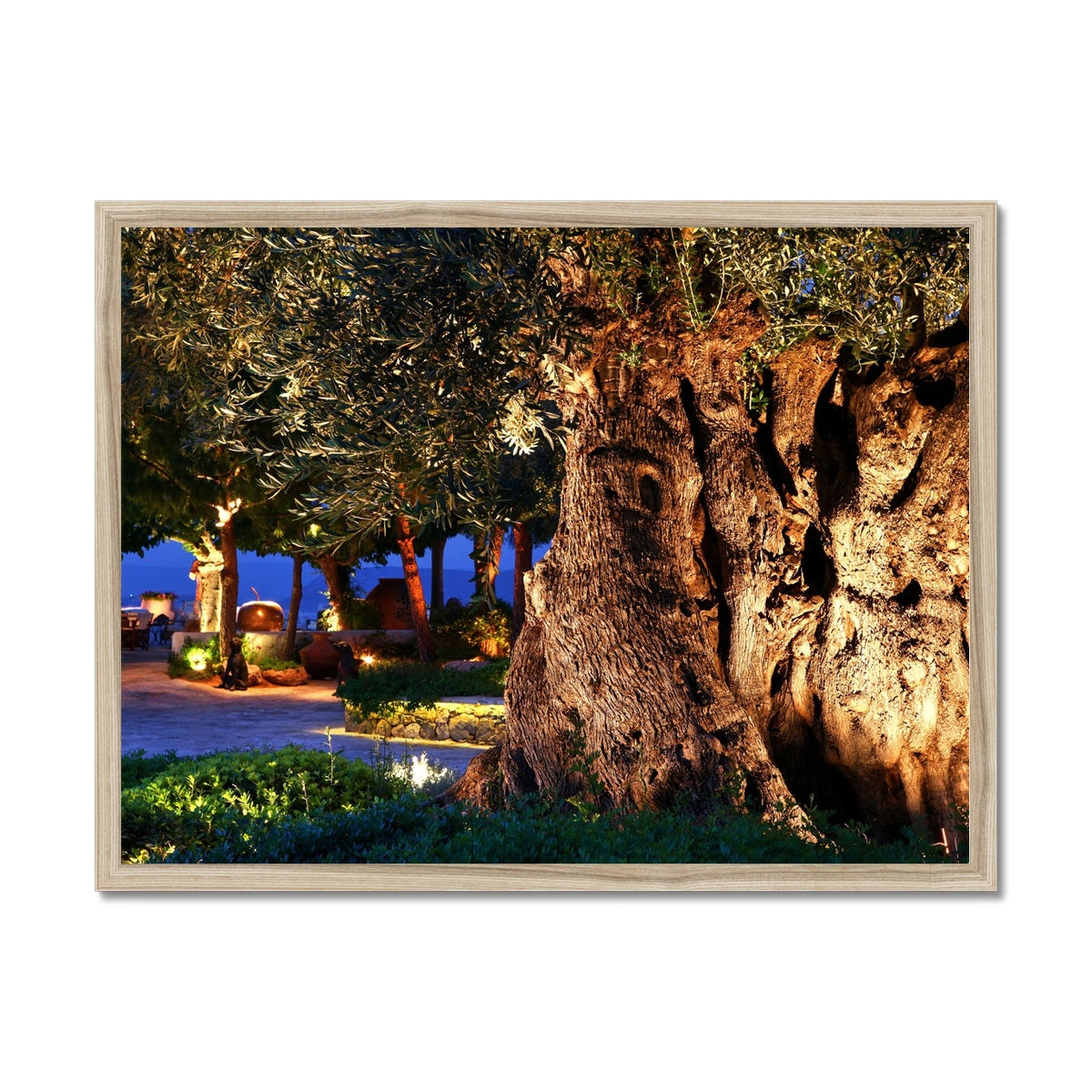 NATURE 11 Framed Print