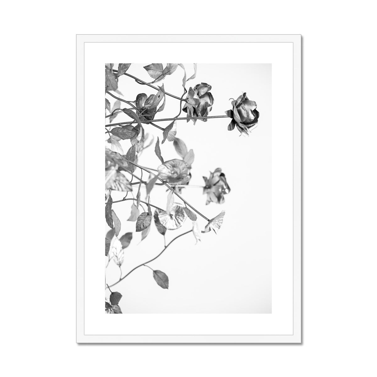 B&W 13 Framed & Mounted Print