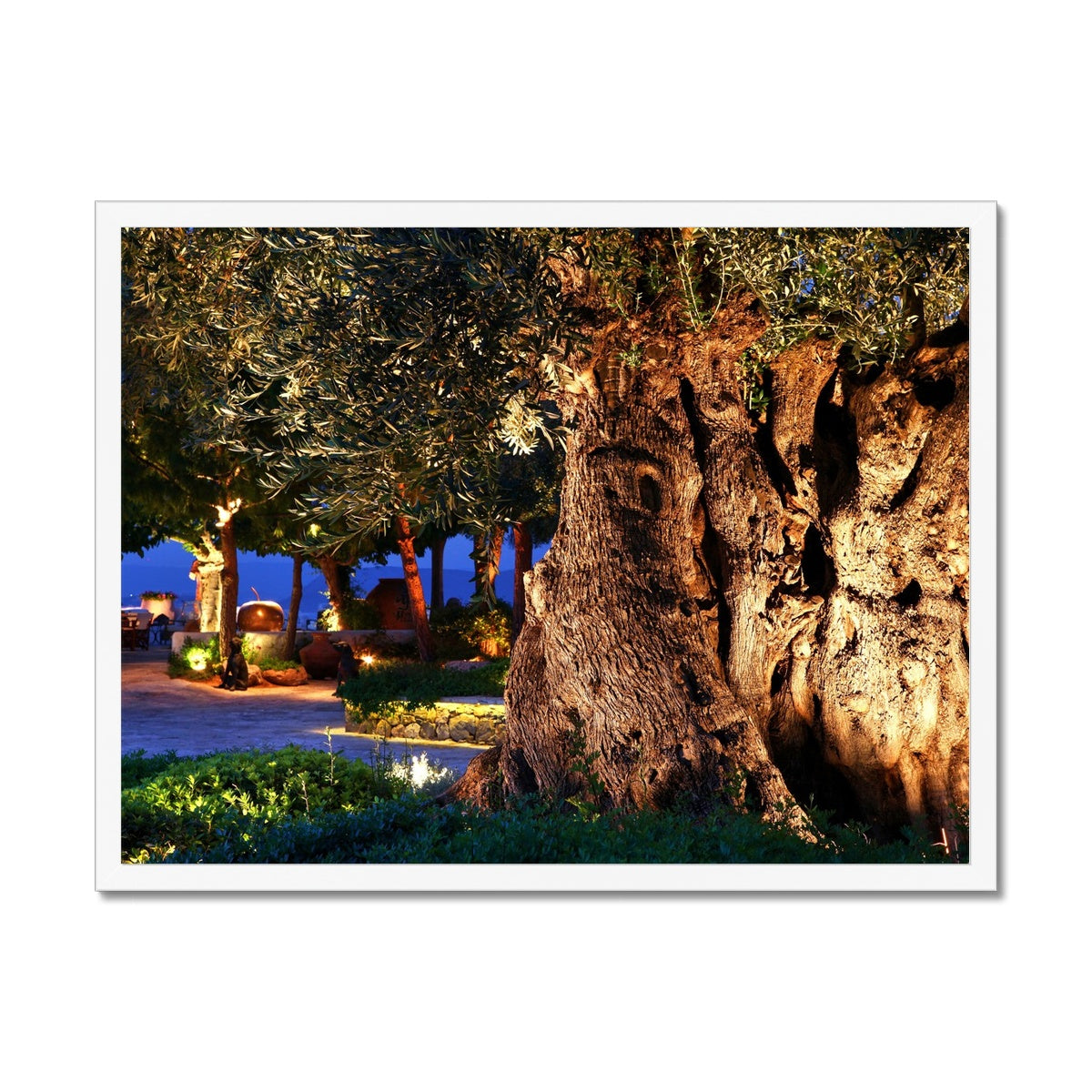 NATURE 11 Framed Print