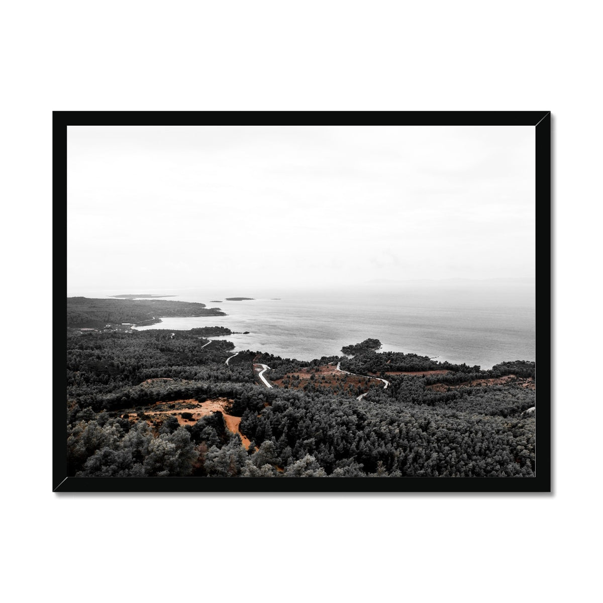 NATURE 21 Framed Print