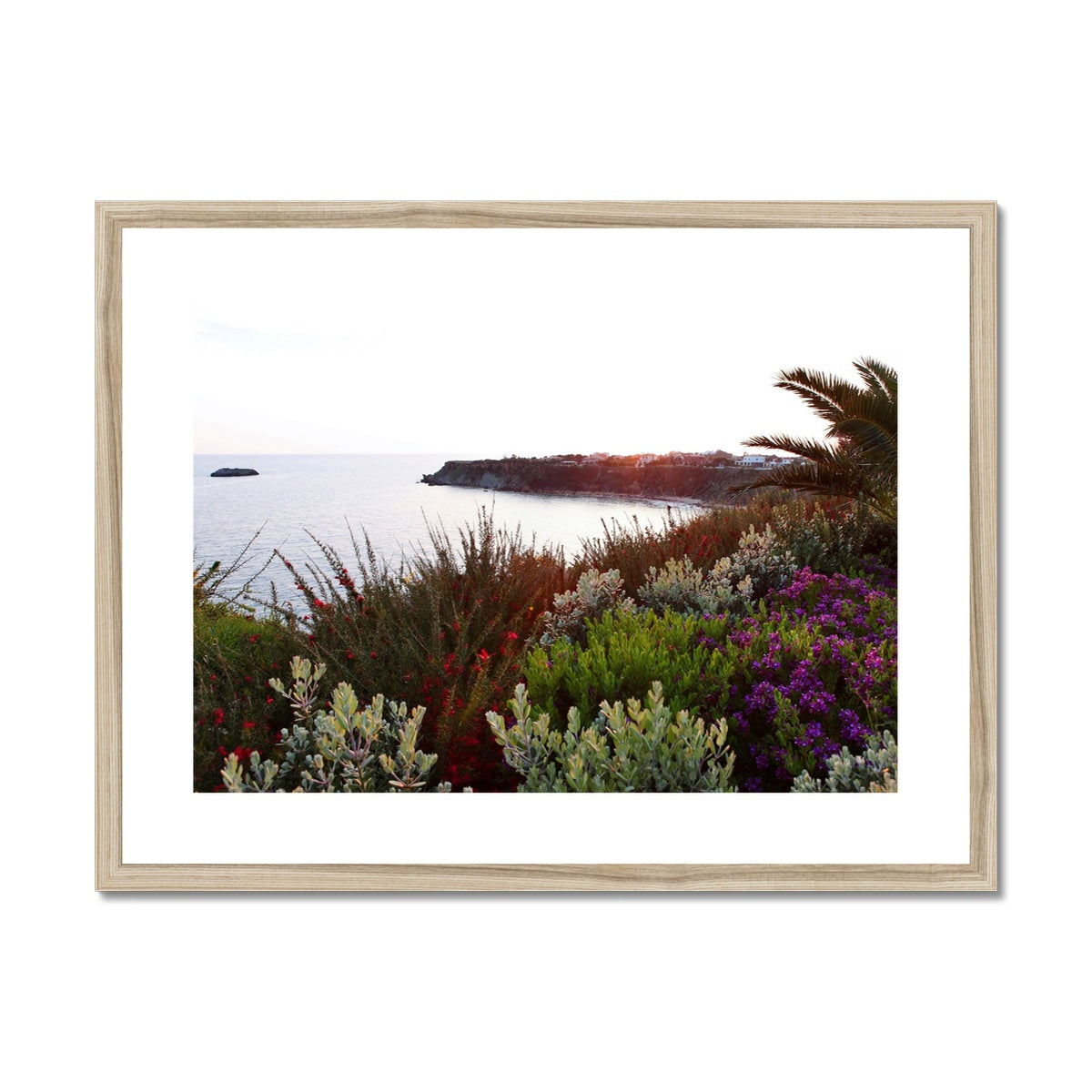 NATURE 15 Framed & Mounted Print