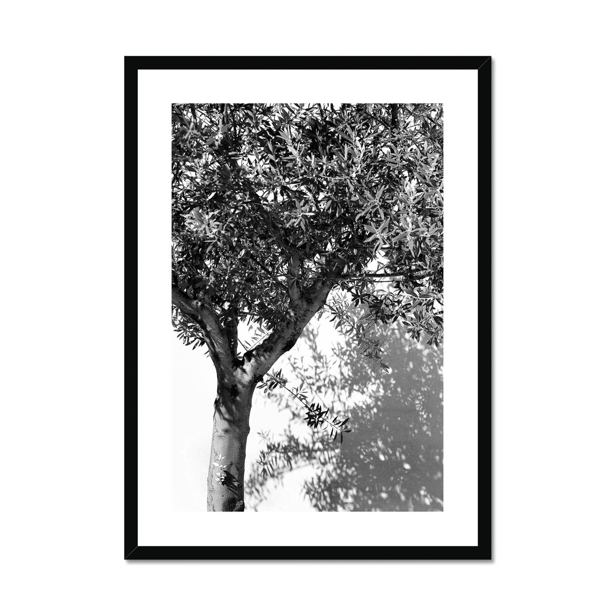 B&W 10 Framed & Mounted Print