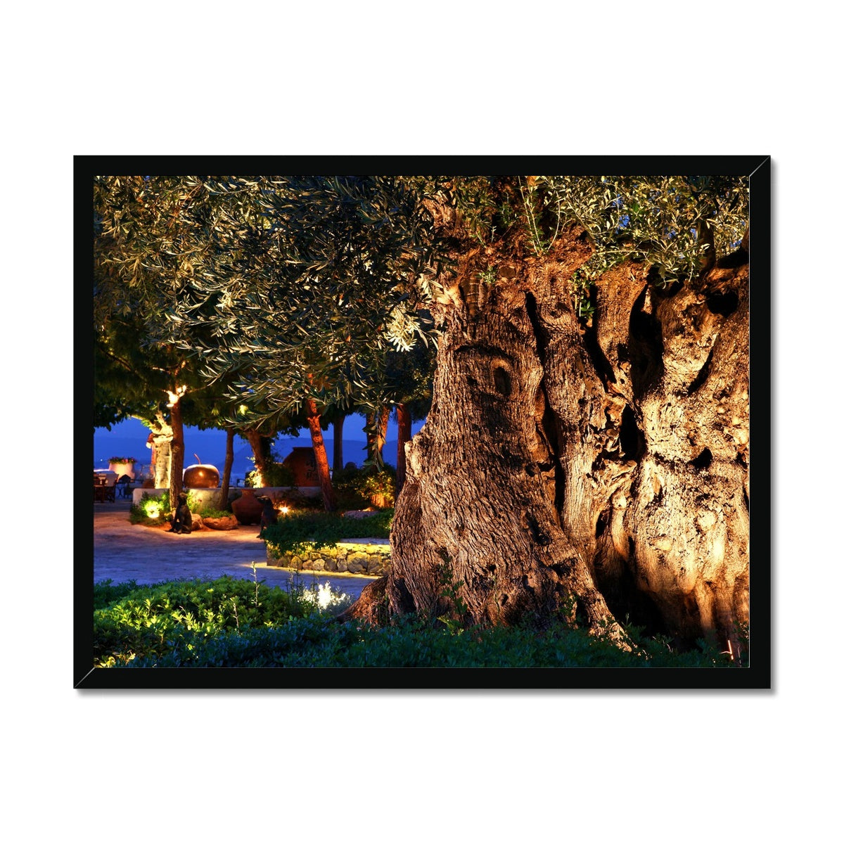 NATURE 11 Framed Print