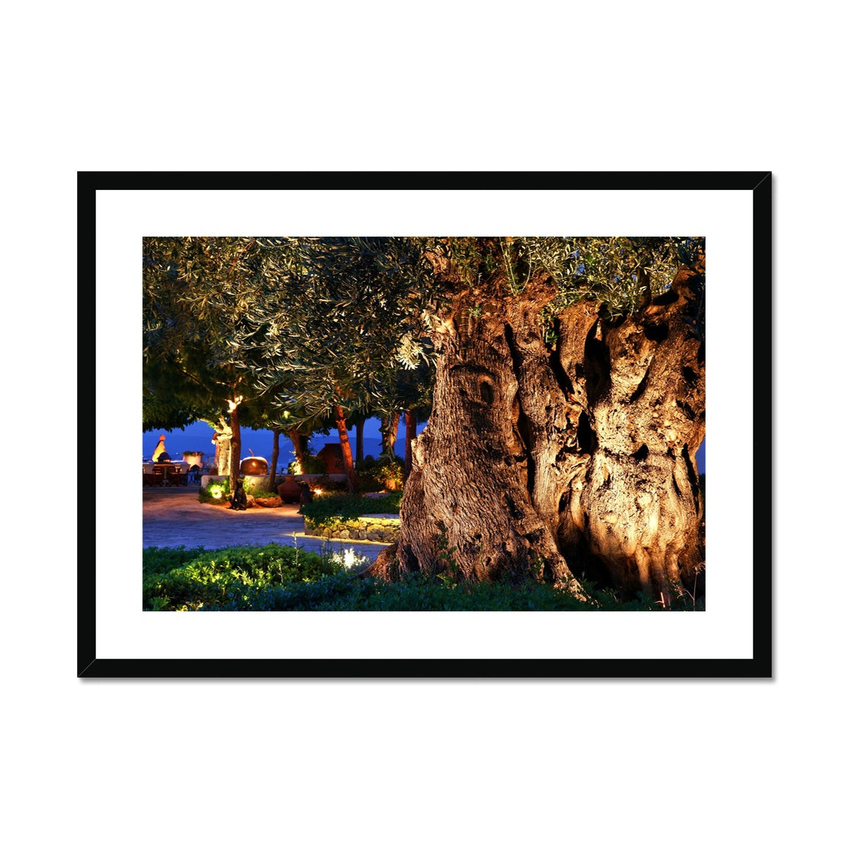 NATURE 11 Framed & Mounted Print