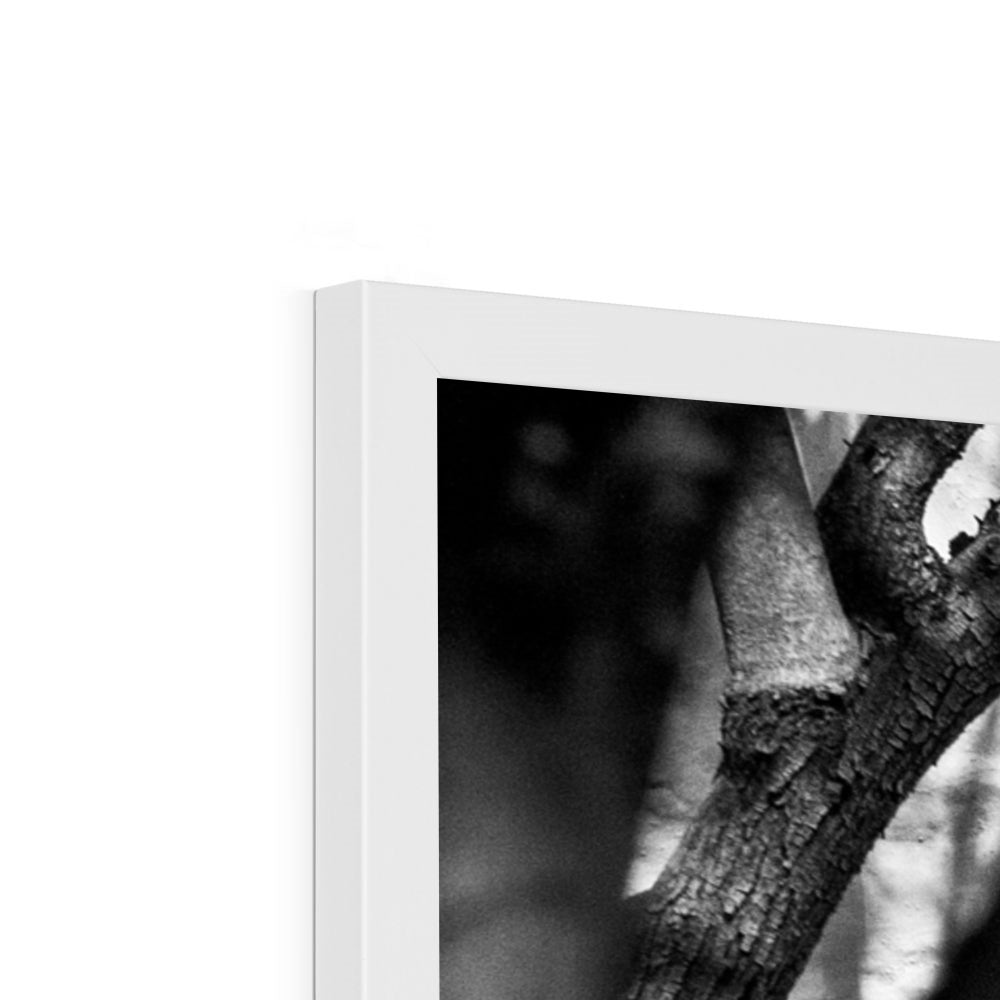 B&W 02 Framed Print