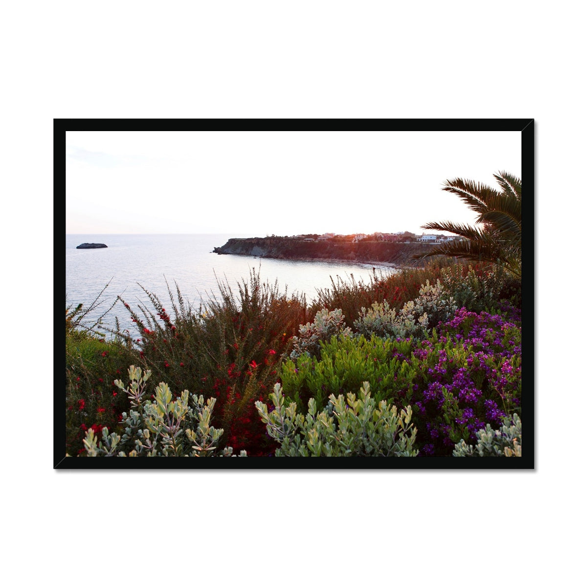 NATURE 15 Framed Print