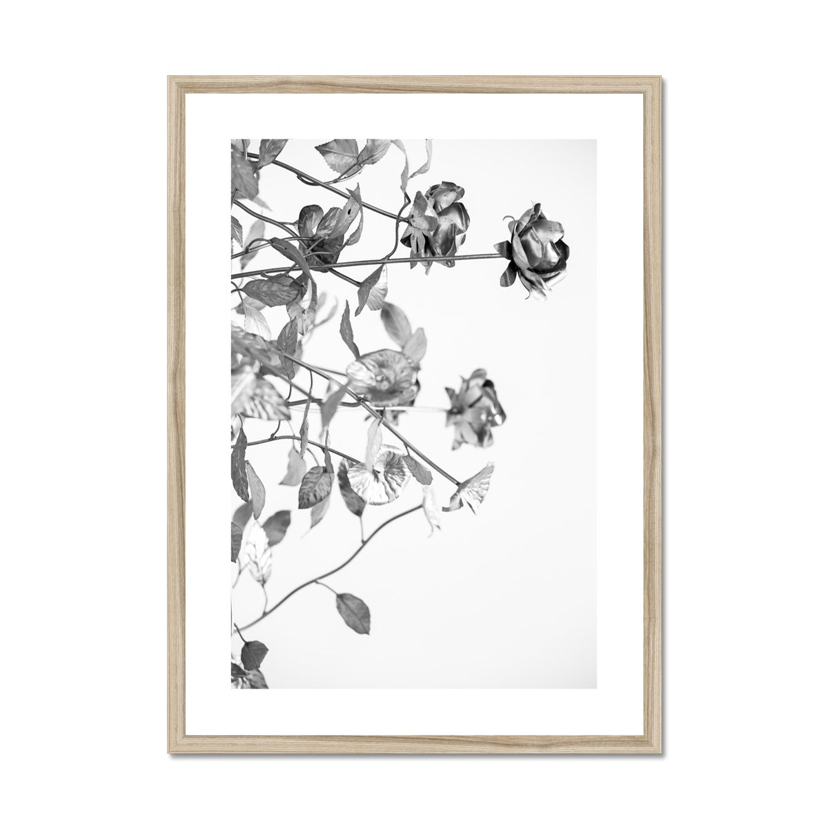 B&W 13 Framed & Mounted Print