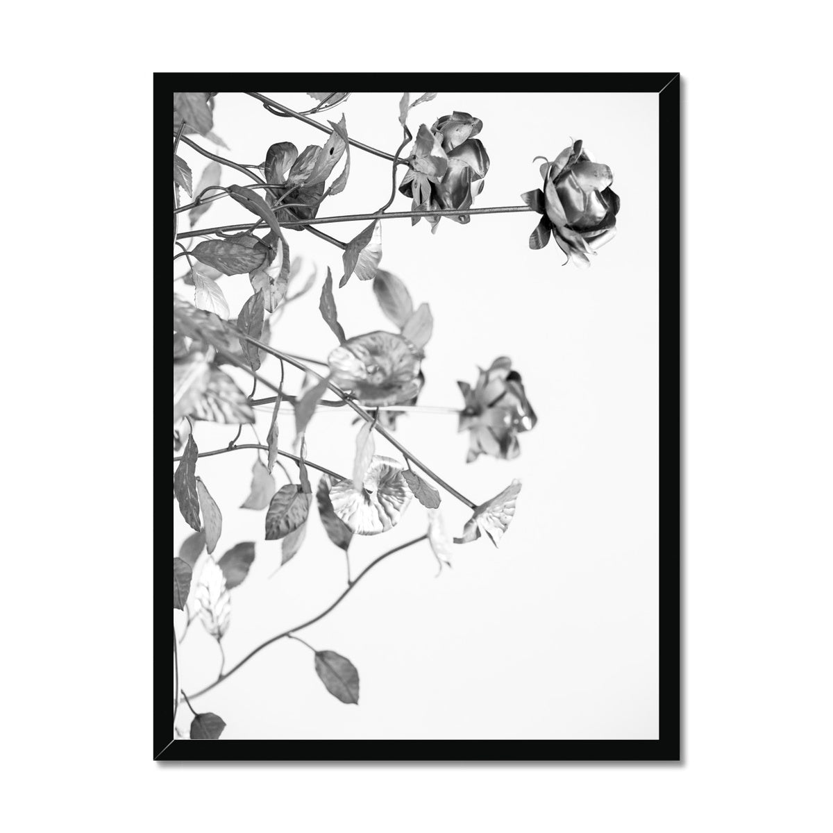 B&W 13 Framed Print