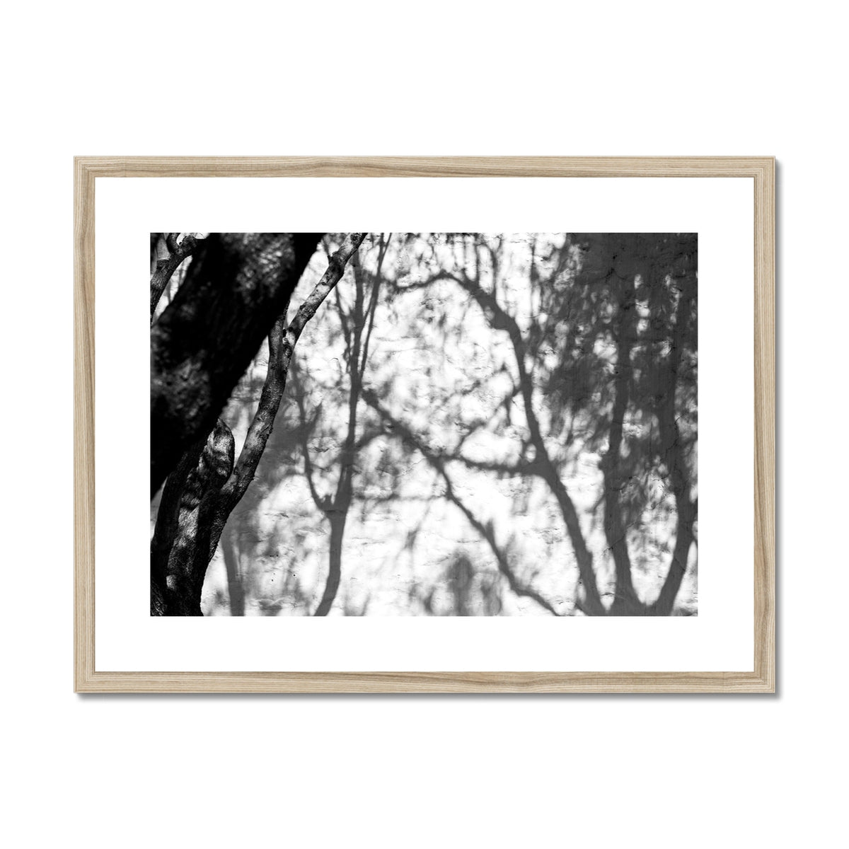 B&W 02 Framed & Mounted Print