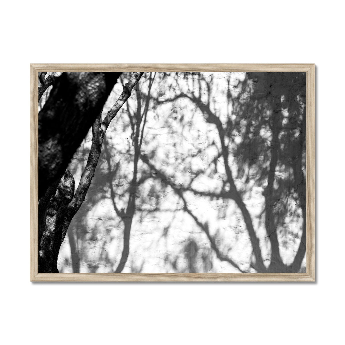 B&W 02 Framed Print