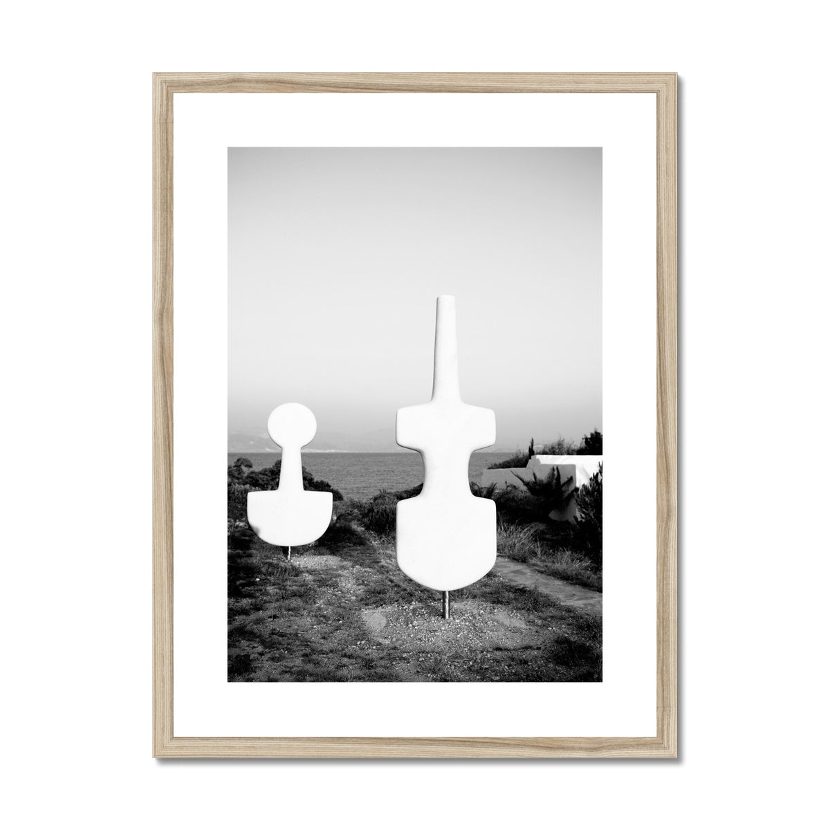 B&W 01 Framed & Mounted Print