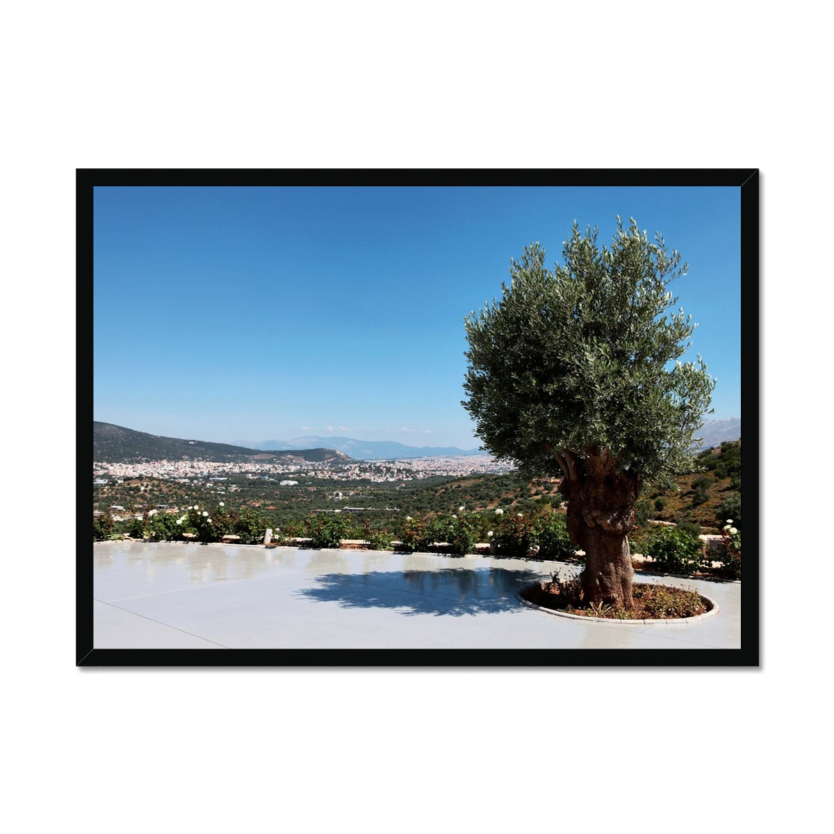 NATURE 13 Framed Print