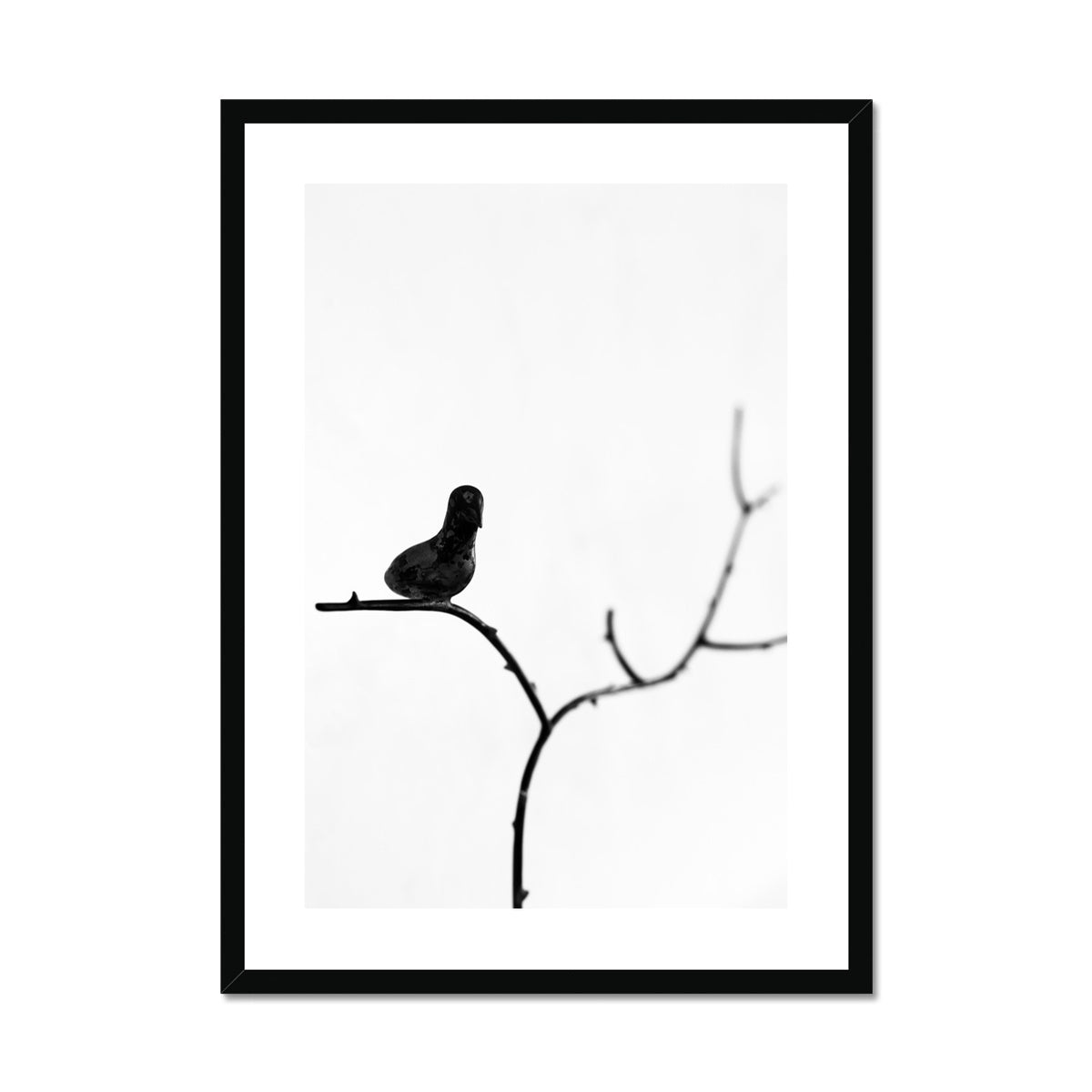 B&W 17 Framed & Mounted Print