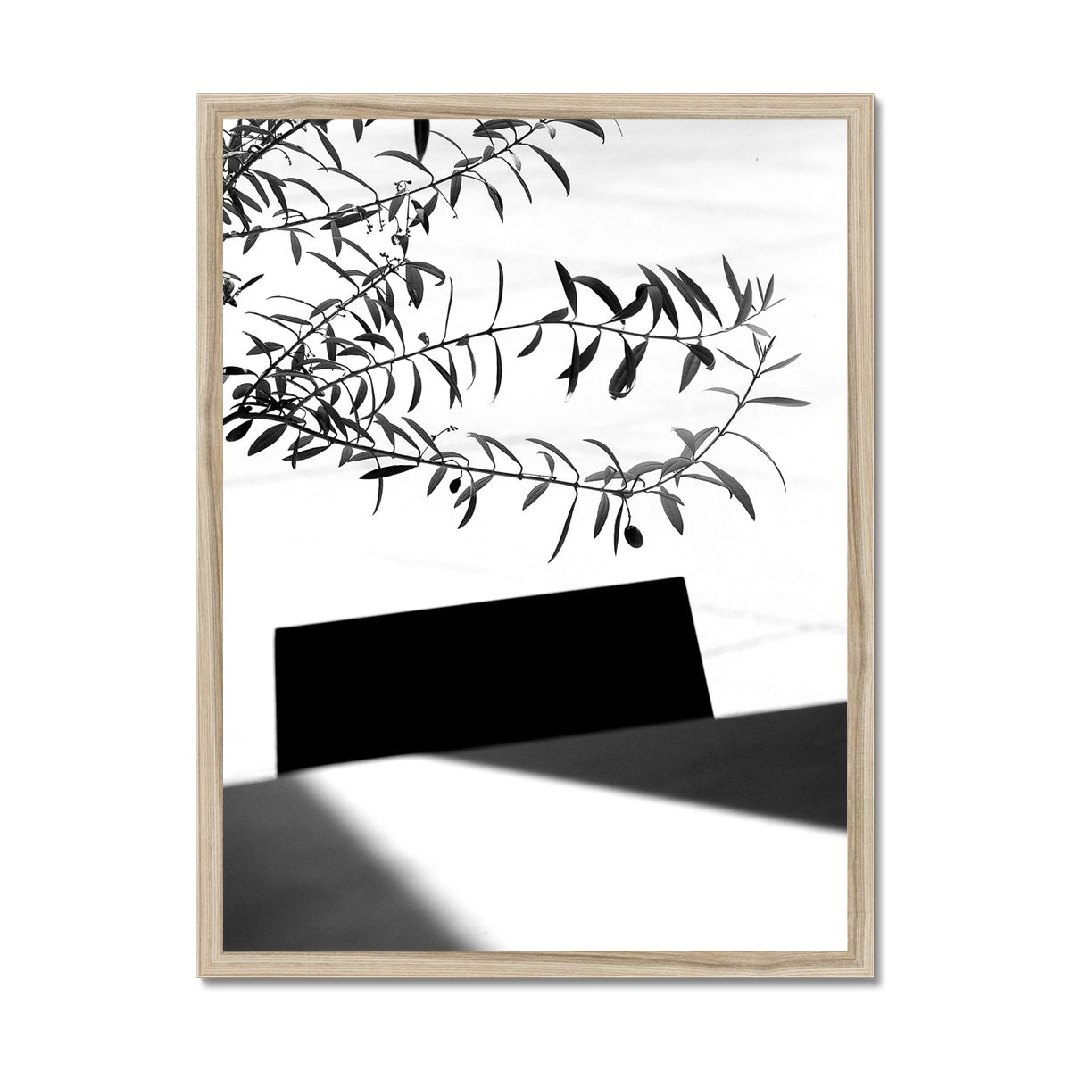 B&W 04 Framed Print