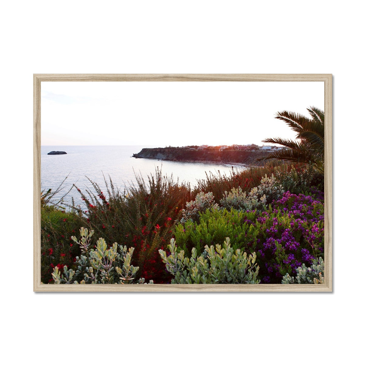 NATURE 15 Framed Print