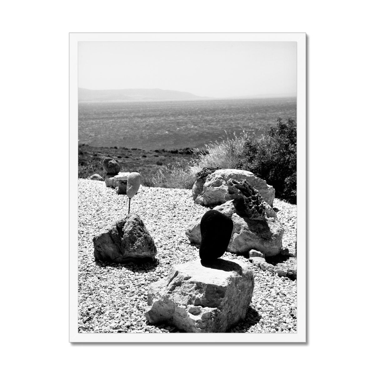 NATURE 07 Framed Print