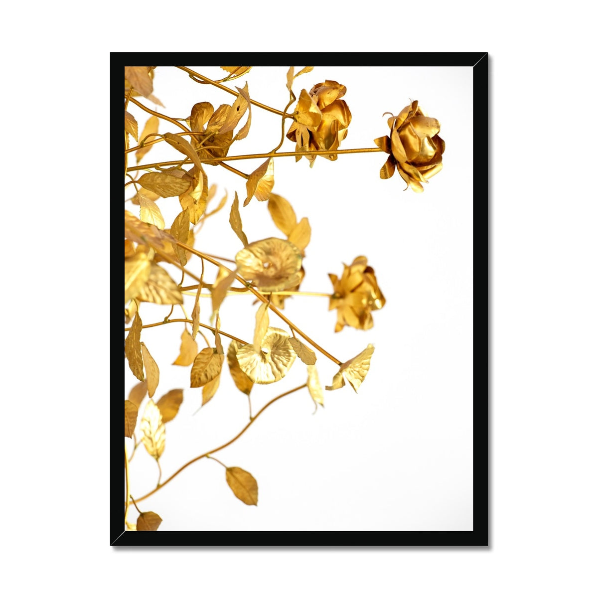 DREAM 18 Framed Print