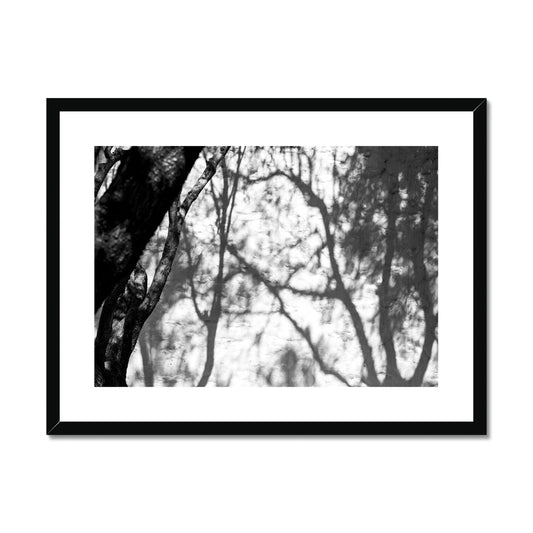 B&W 02 Framed & Mounted Print