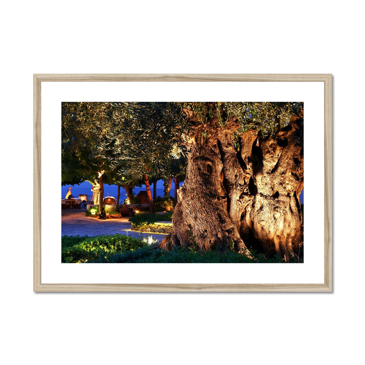 NATURE 11 Framed & Mounted Print