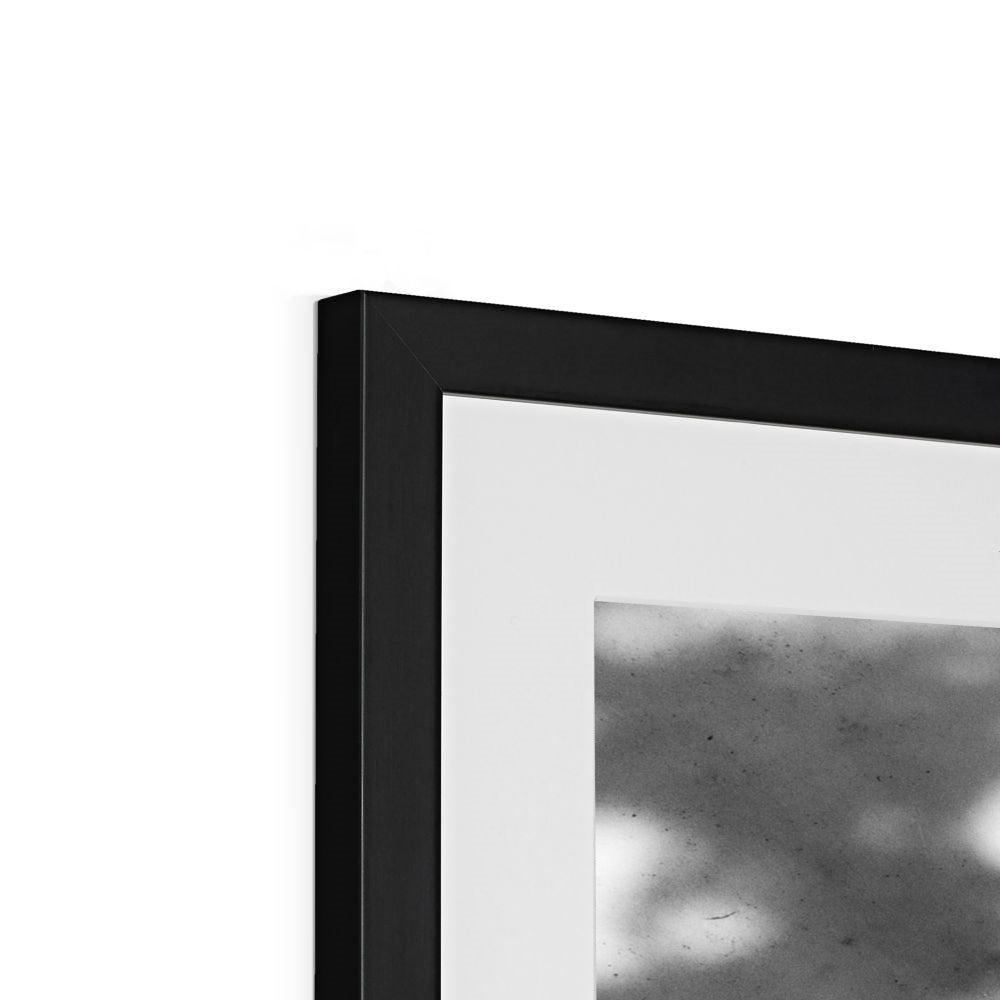 B&W 06 Framed & Mounted Print