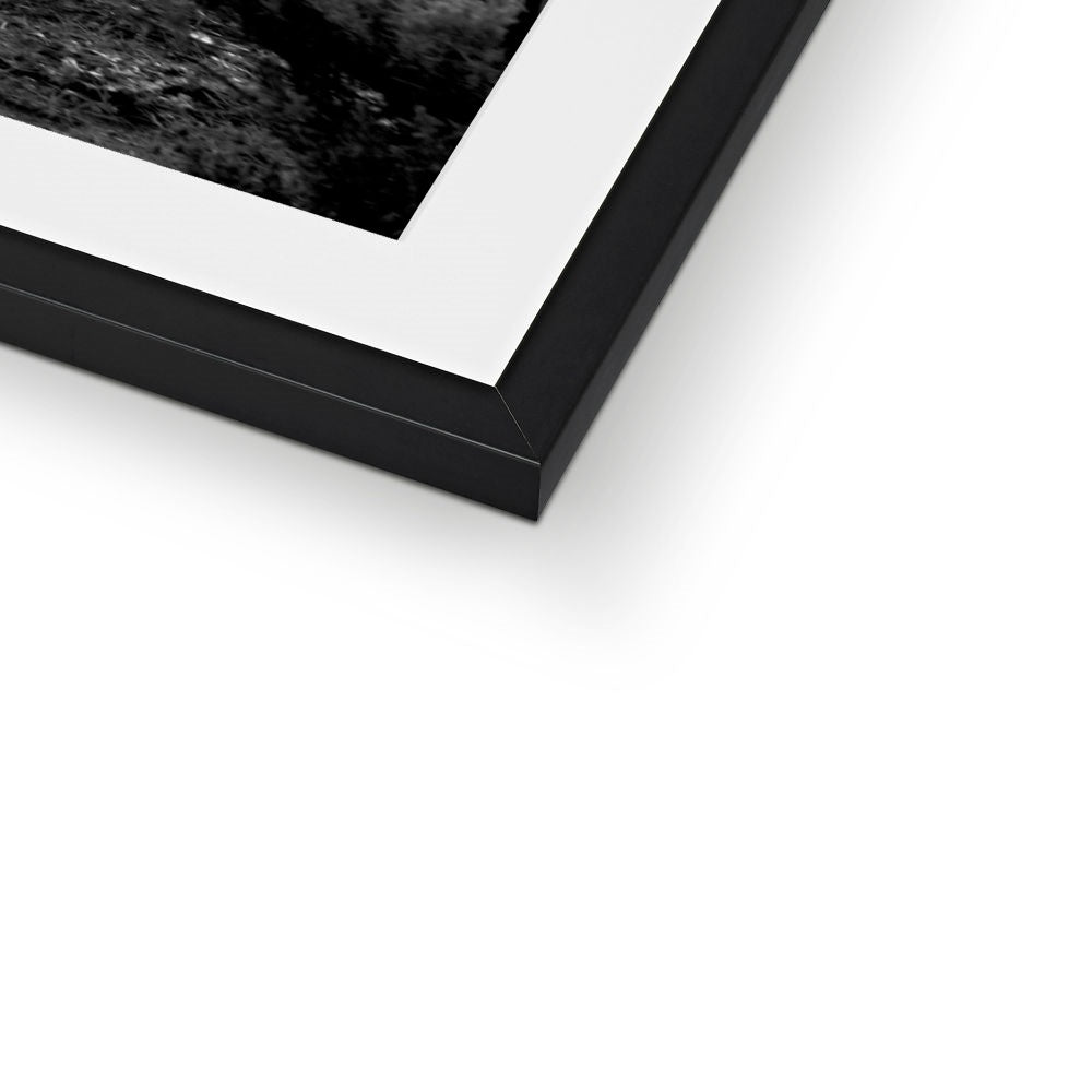 B&W 15 Framed & Mounted Print