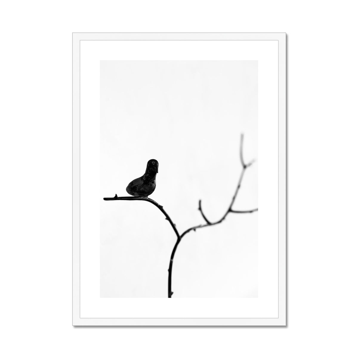 B&W 17 Framed & Mounted Print